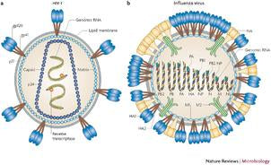 Infectious Disease